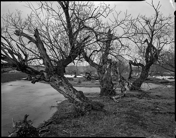 Прикрепленное изображение: 45-foma100-r09100-20-18-217-1.jpg