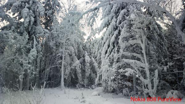 Прикрепленное изображение: 2013-01-10-0591.jpg