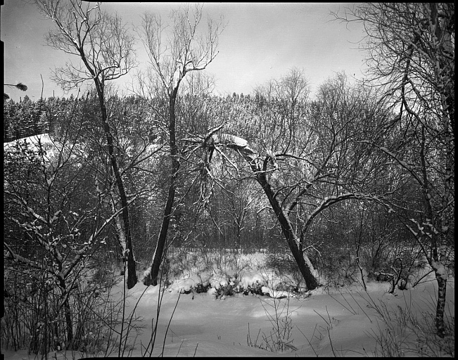 Прикрепленное изображение: 45-foma100-tmax-20-5-304-1.jpg