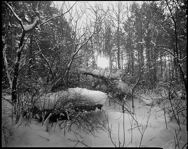 Прикрепленное изображение: 45-foma100-tmax-20-5-305-1.jpg