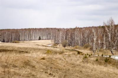 Прикрепленное изображение: _IGP2542.jpg
