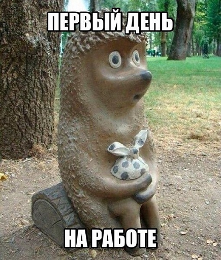 Прикрепленное изображение: 235ek.jpg
