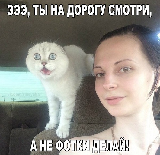 Прикрепленное изображение: BA0qQNYX70U.jpg