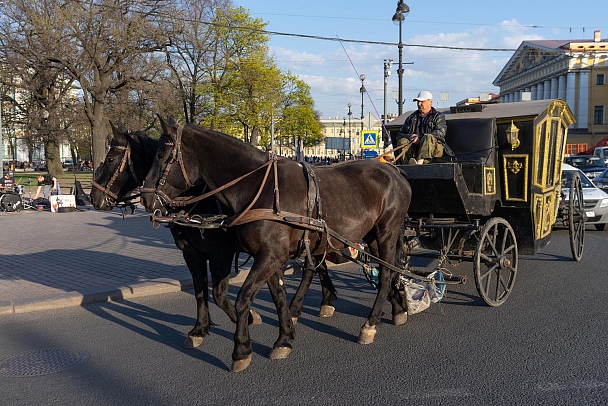 Прикрепленное изображение: IMGP4068_1500.jpg