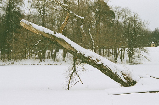 Прикрепленное изображение: 81680021.JPG