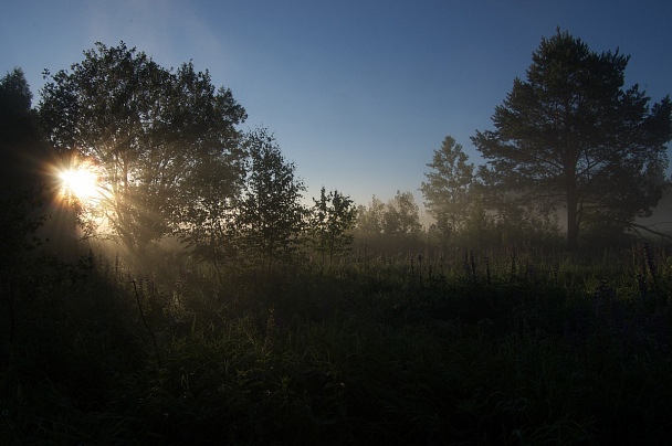 Прикрепленное изображение: IMGP2213.jpg