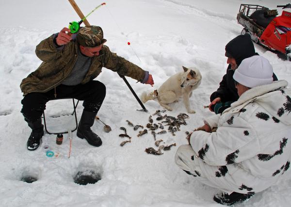 Прикрепленное изображение: DSC_2474.jpg