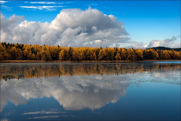 Прикрепленное изображение: _DSC9495.jpg