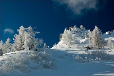 Прикрепленное изображение: IMGP2675.jpg