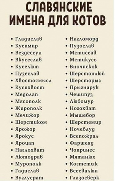 Прикрепленное изображение: Славянские имена котов.jpg