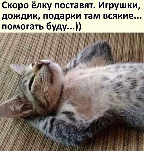 Прикрепленное изображение: Котик.jpg