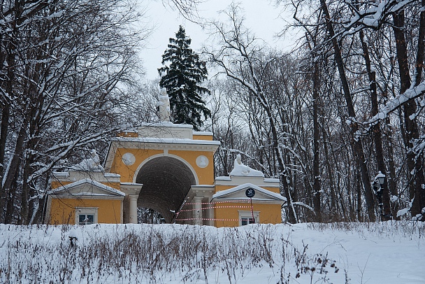 Прикрепленное изображение